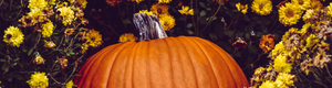 Wallpaper - Oktober 2025