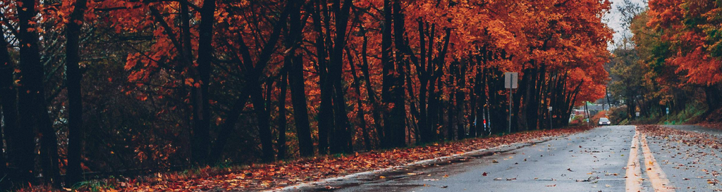 Wallpaper - September 2025