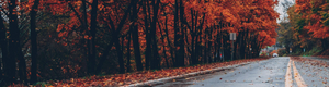 Wallpaper - September 2025