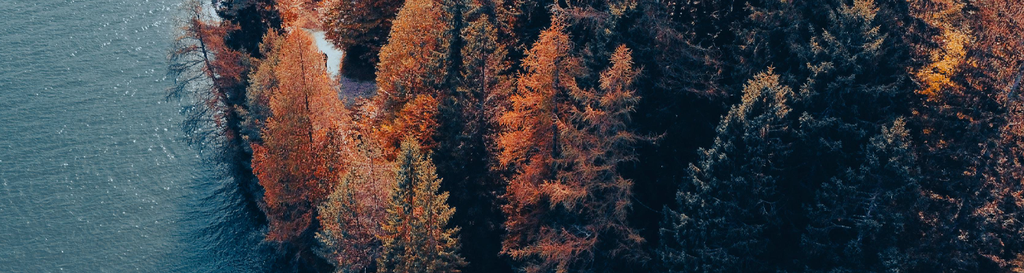 Wallpaper - Oktober 2025