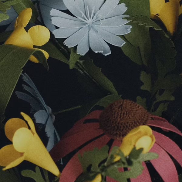 Fall Flowers