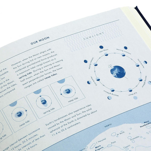 Grids & Guides | Navy