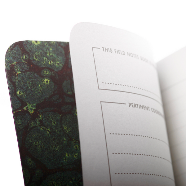 End Papers